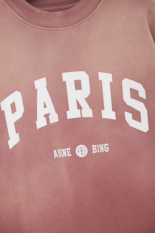 ANINE BING JACI SWEATSHIRT UNIVERSITY PARIS - WASHED FADED TERRACOTTA